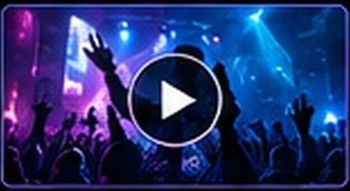Official Music Videos